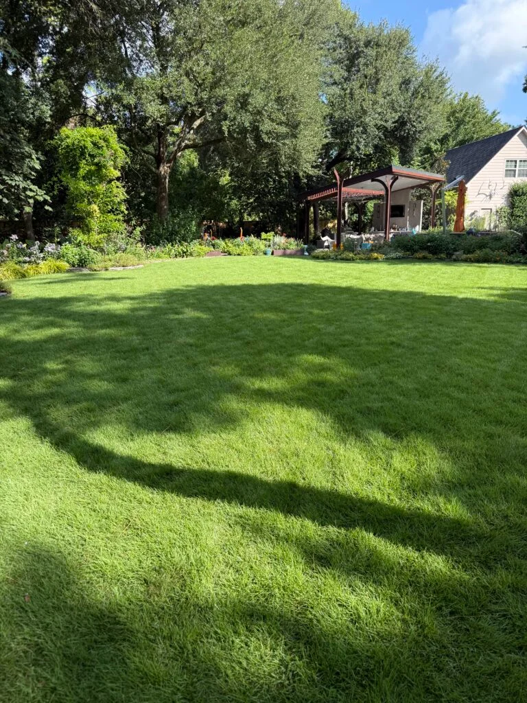  Professional landscape maintenance and lawn care services in Magnolia, TX, showing a lush, healthy green lawn and backyard garden.
