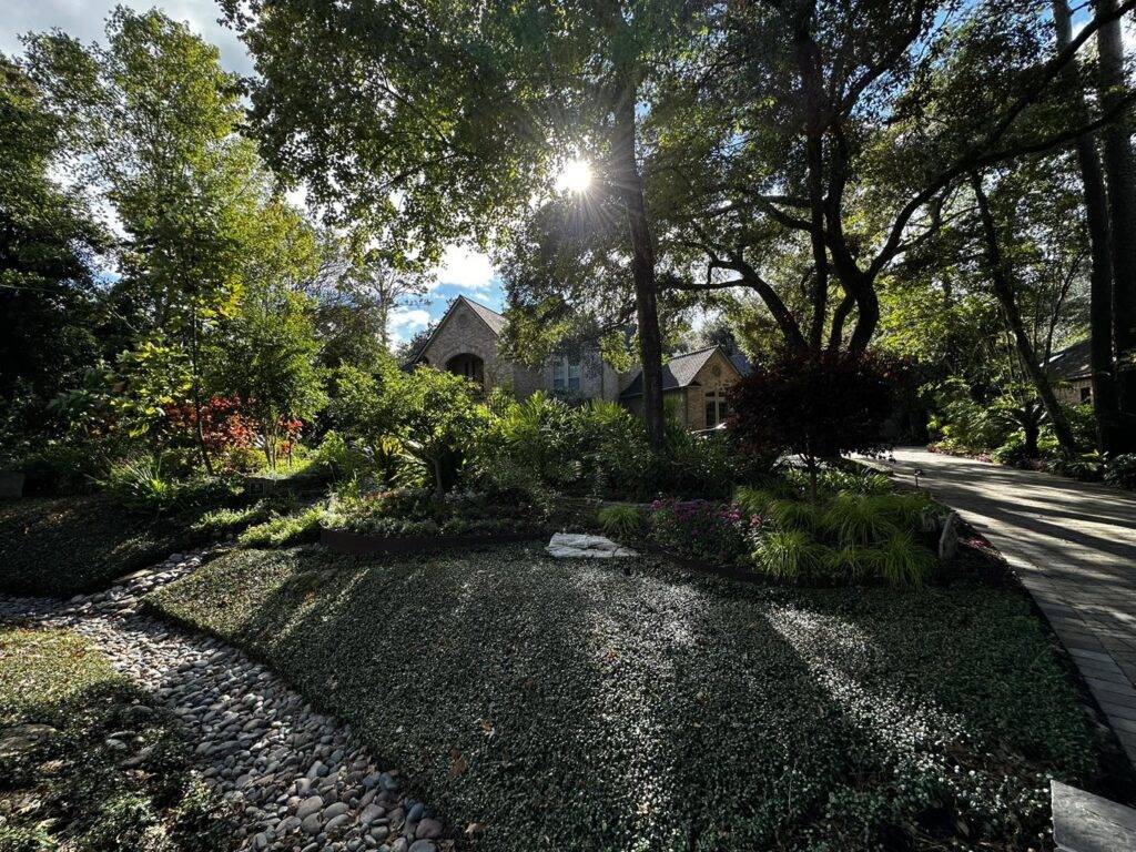 469891814_1498999777455763_1484537507902340328_n