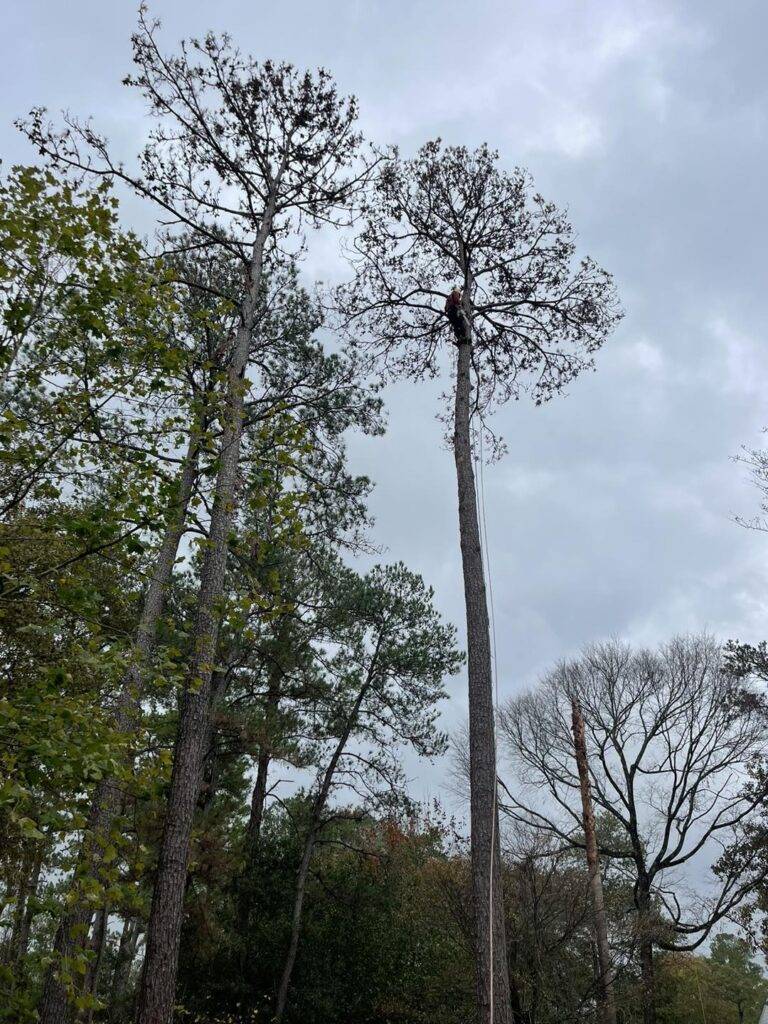 470001295_1499002607455480_1790906585437073848_n