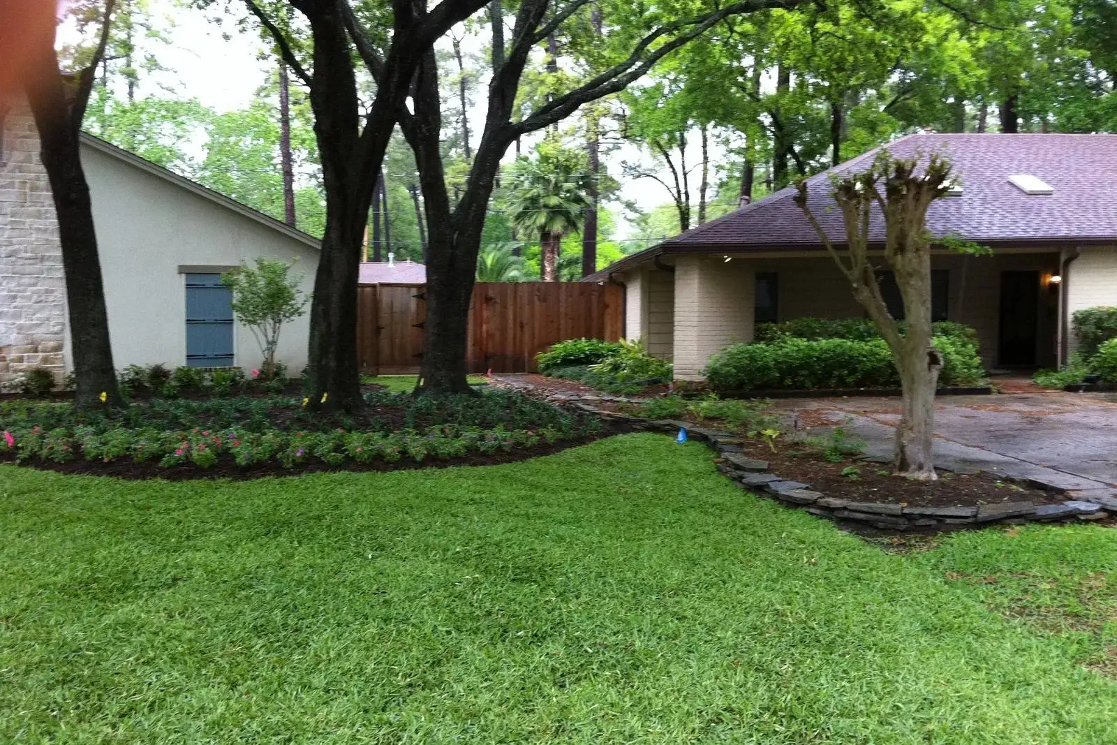 A beautifully manicured backyard with lush green grass, mulched flower beds, and mature trees maintained by Results Tree & Landscape professional crews.