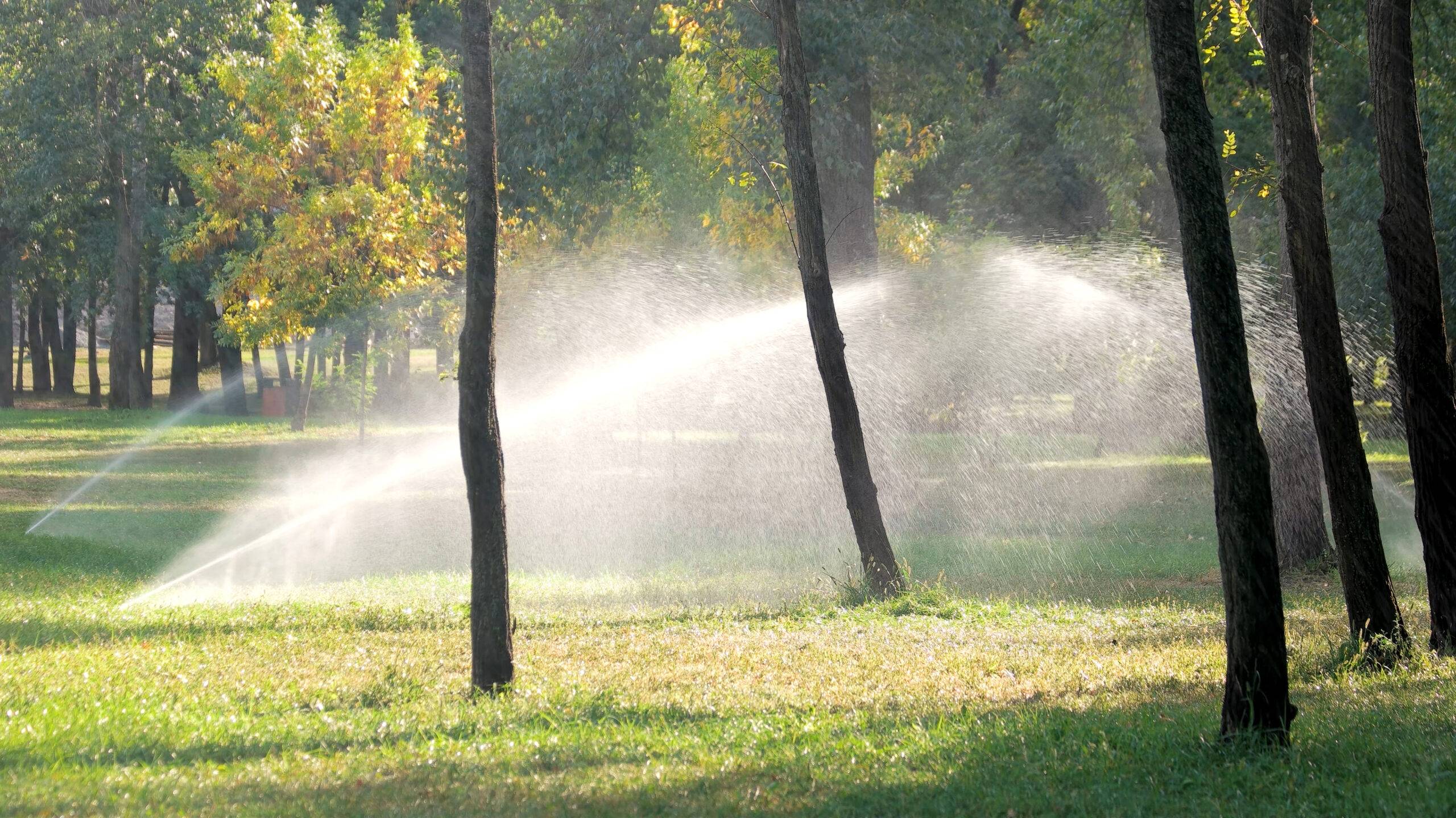 An automated irrigation system watering a shaded lawn, ensuring lush green grass during the Texas heat, installed and serviced by Results Tree & Landscape Inc.