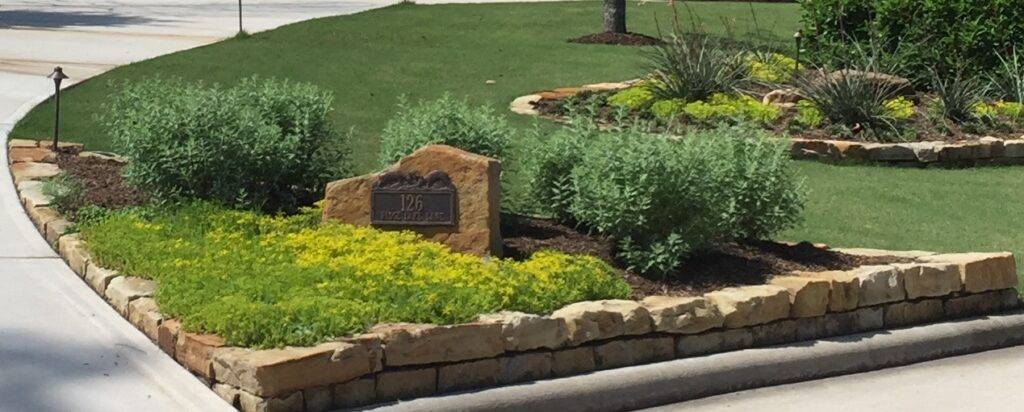 russian sage and mexican sedum(1)