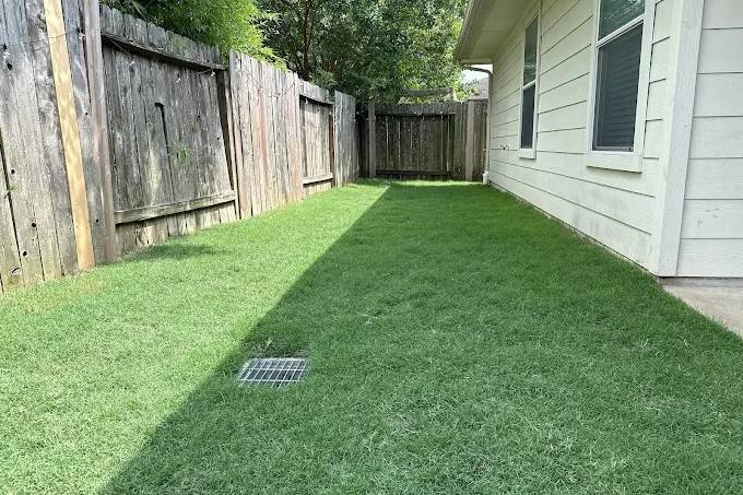 A residential side yard featuring a newly installed drainage grate system and fresh sod to prevent standing water, installed by Results Tree & Landscape Inc.