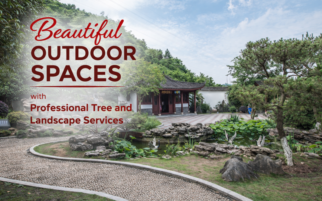 Creating Strong and Beautiful Outdoor Spaces with Professional Tree and Landscape Services