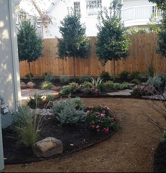 Tree & Shrub Planting Services Integrated with Landscape Design Tree & Shrub Planting Services Integrated with Landscape Design