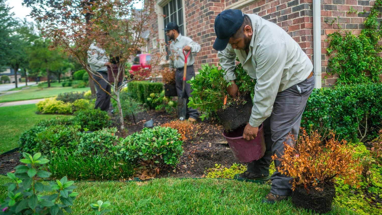 Tree & Shrub Planting Services Tree planting services and shrub installation in Magnolia