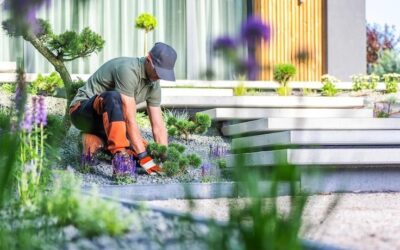 Why Homeowners Are Choosing a Residential Landscape Contractor for Smarter Outdoor Living Solutions