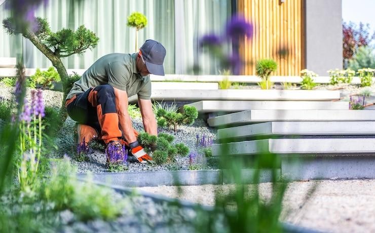Why Homeowners Are Choosing a Residential Landscape Contractor for Smarter Outdoor Living Solutions