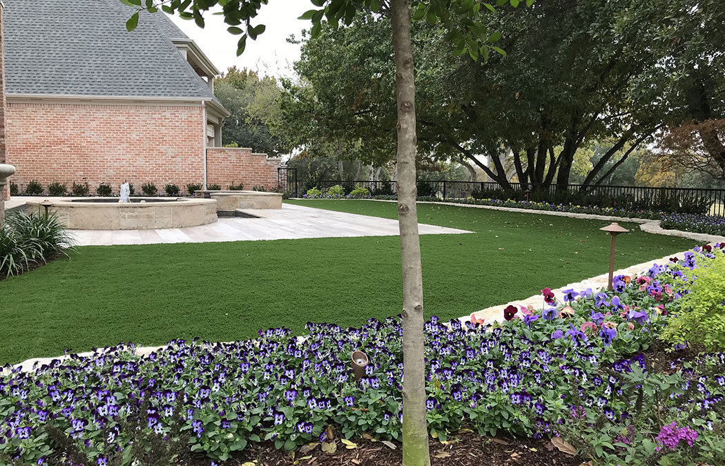 How Professional Landscaping Can Improve Your Outdoor Living Area
