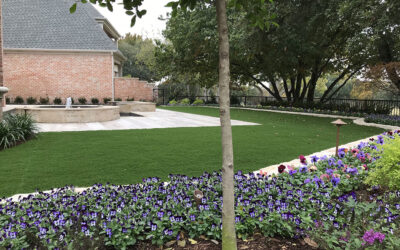 How Professional Landscaping Can Improve Your Outdoor Living Area