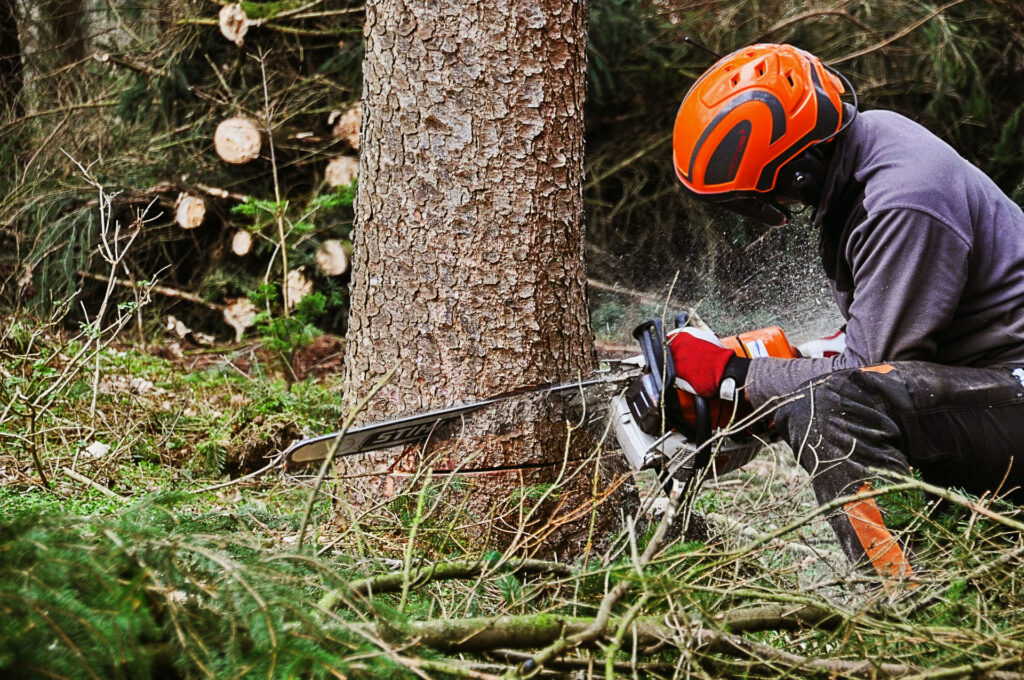 How Results Tree & Landscape Inc. Helps Create Safer and Healthier Outdoor Spaces