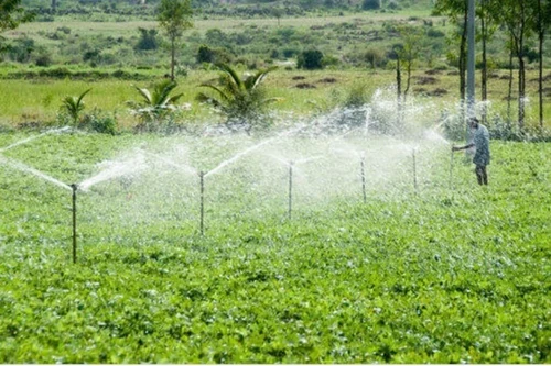 Seasonal Irrigation Tips to Keep Your Lawn Healthy All Year