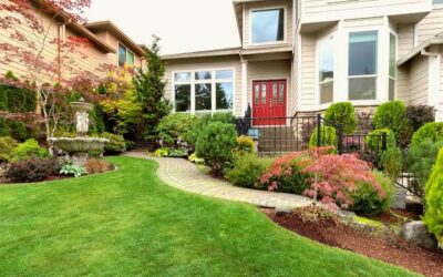 Planning a Better Landscape and Knowing When Tree Damage Is an Emergency
